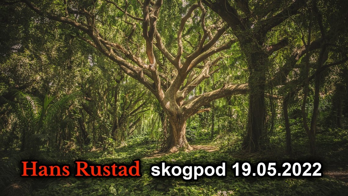 Photo av veeterzy:
https://www.pexels.com/photo/green-leafed-tree-38136/ Photo av veeterzy:
https://www.pexels.com/photo/green-leafed-tree-38136/