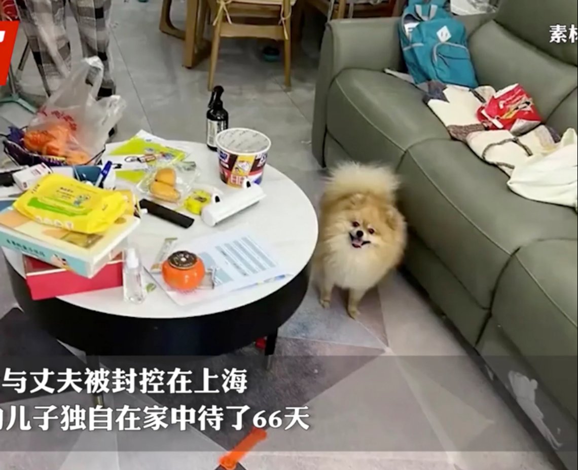 Hunden og katten ble godt tatt vare på av en 13 år gammel kinesisk gutt som måtte klare seg alene i 66 dager i Kunshan, Kina. Husvasken var det så som så med. Skjermdump Baidu Hunden og katten ble godt tatt vare på av en 13 år gammel kinesisk gutt som måtte klare seg alene i 66 dager i Kunshan, Kina. Husvasken var det så som så med. Skjermdump Baidu