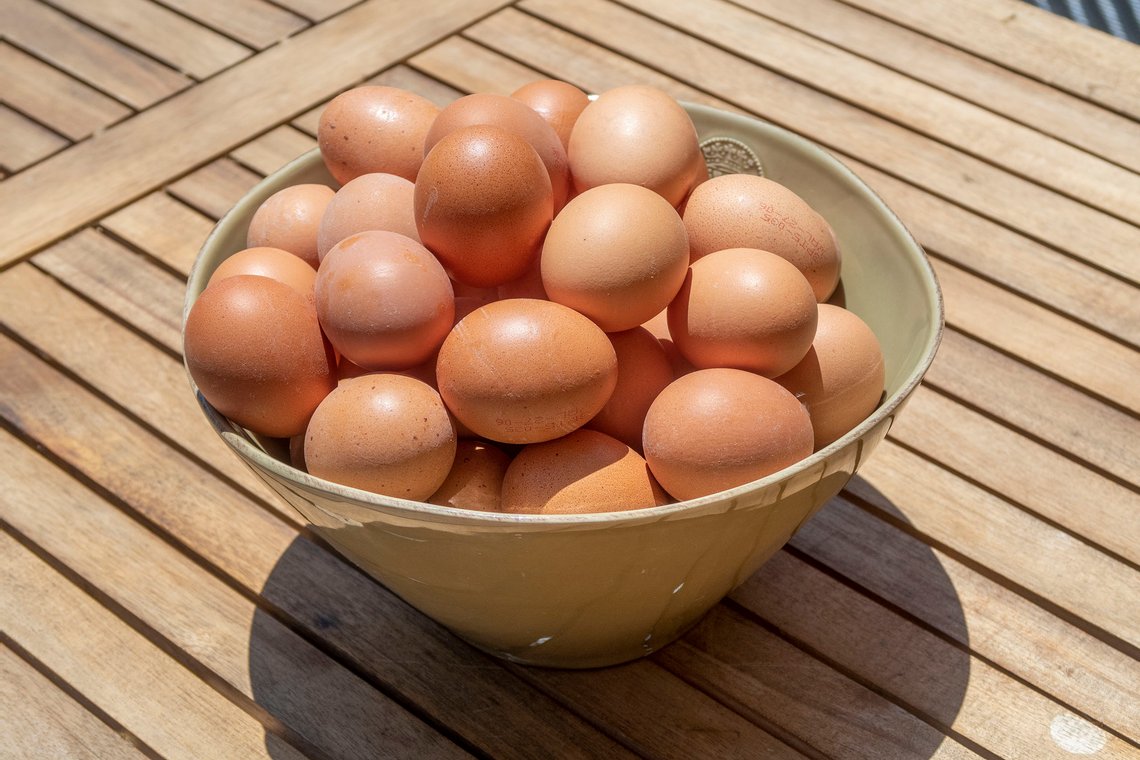 EU møter motstand fra norske organisasjoner og næringsliv mot å likebehandle EU-egg med norske egg. Ill.foto: Arnt Jensvoll EU møter motstand fra norske organisasjoner og næringsliv mot å likebehandle EU-egg med norske egg. Ill.foto: Arnt Jensvoll