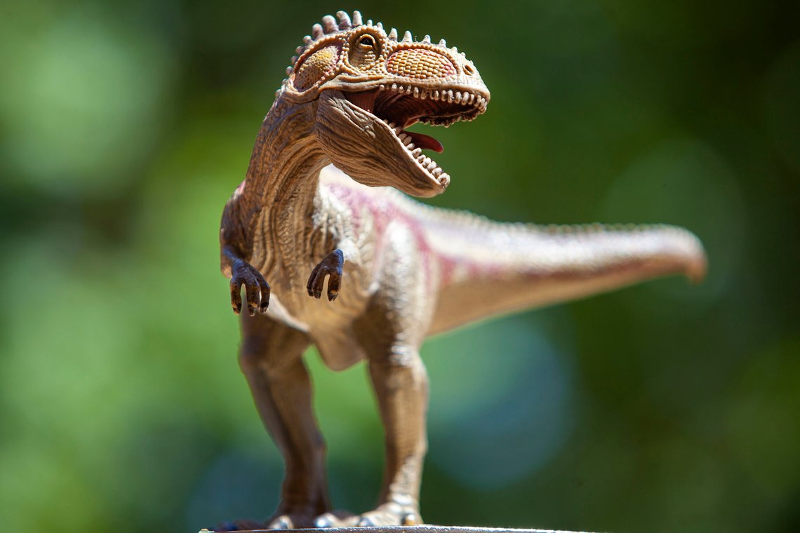 Restene av en kjøttetende dinosaur funnet på engelske Isle of Wight, kan ha vært større enn noen annen dinosaur funnet i Europa. Ill.foto: Arnt Jensvoll Restene av en kjøttetende dinosaur funnet på engelske Isle of Wight, kan ha vært større enn noen annen dinosaur funnet i Europa. Ill.foto: Arnt Jensvoll