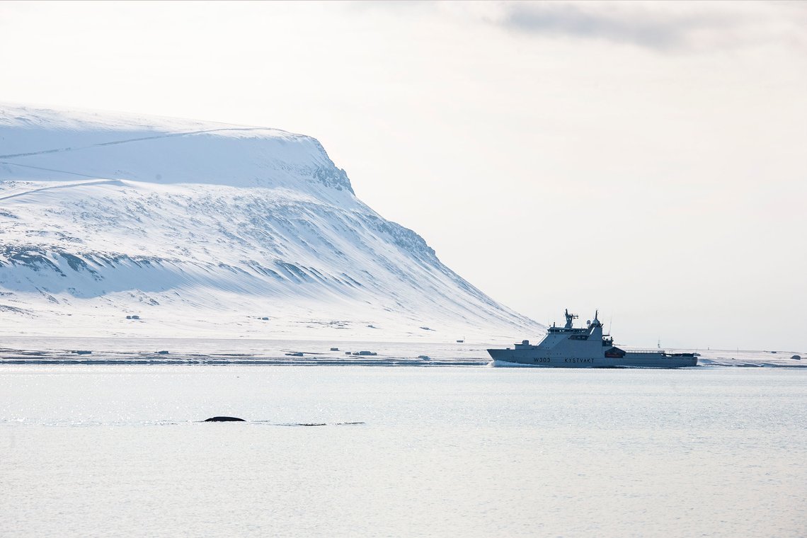 Kystvakten i innseilingen til Longyearbyen. I forgrunnen antar fotografen at det er en hvalart vi ser. Foto: Document / Arnt Jensvoll Kystvakten i innseilingen til Longyearbyen. I forgrunnen antar fotografen at det er en hvalart vi ser. Foto: Document / Arnt Jensvoll