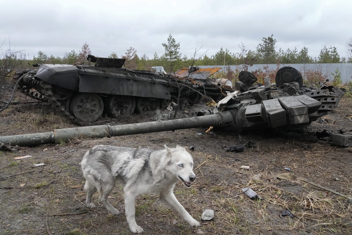 FILE - A dog runs by a Russian tank destroyed during fighting two days ago, in the village of Dmytrivka close to Kyiv, Ukraine, Saturday, April 2, 2022. Moscow has not given a casualty count since it said some 1,300 troops were killed in the first month of fighting, but Western officials have said that was just a fraction of real losses. (AP Photo/Efrem Lukatsky, File) FILE - A dog runs by a Russian tank destroyed during fighting two days ago, in the village of Dmytrivka close to Kyiv, Ukraine, Saturday, April 2, 2022. Moscow has not given a casualty count since it said some 1,300 troops were killed in the first month of fighting, but Western officials have said that was just a fraction of real losses. (AP Photo/Efrem Lukatsky, File)