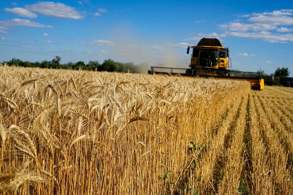 En hveteåker i Melitopol sør i Ukraina. Foto: AP / NTB En hveteåker i Melitopol sør i Ukraina. Foto: AP / NTB