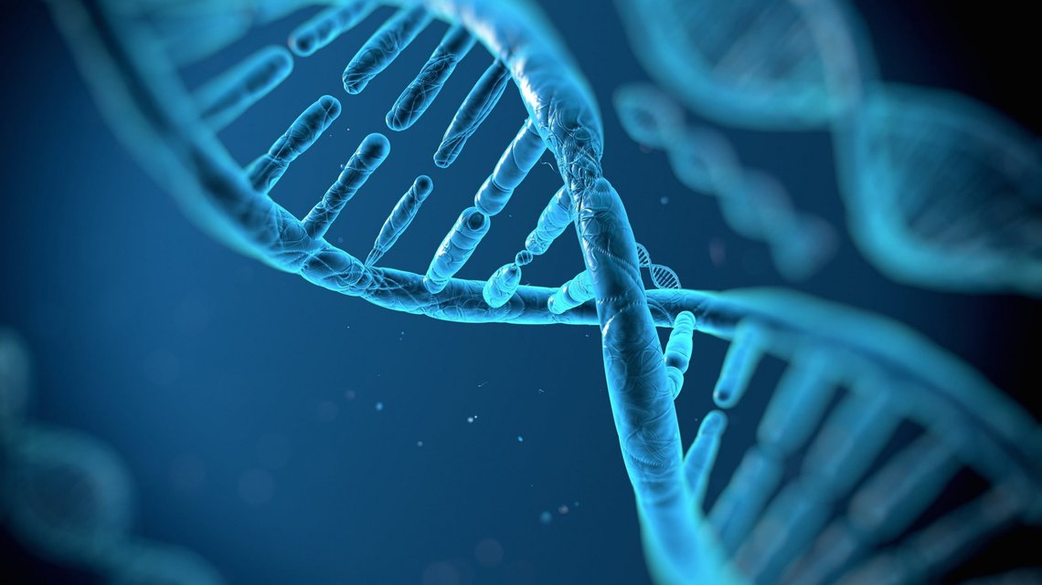 DNA dobbel heliks. foto: getwallpapers.com DNA dobbel heliks. foto: getwallpapers.com