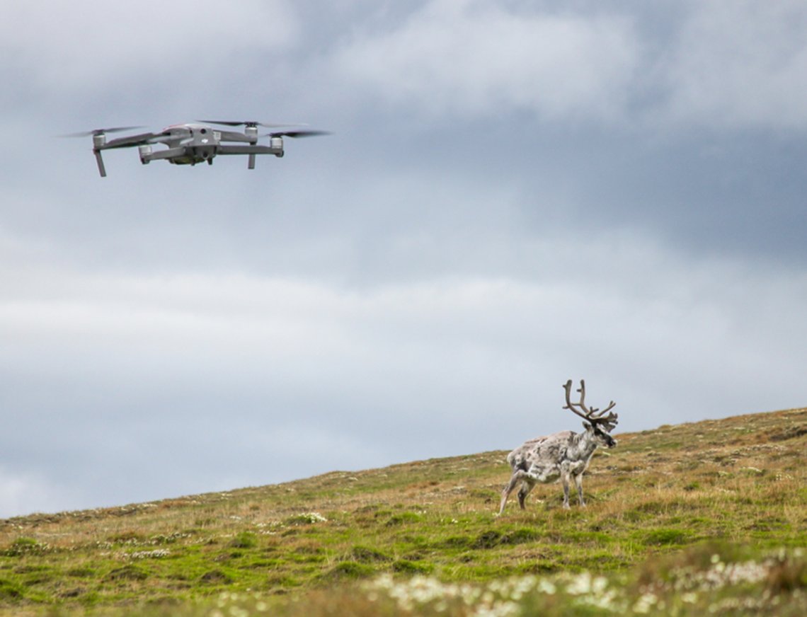Tirsdag ble en en 47 år gammel mann varetektsfengslet for to uker i Vestre Finnmark tingrett, siktet for å ha brutt forbudet mot dronebruk på Svalbard. Illustrasjonsfoto: Richard Hann / University Centre in Svalbard (UNIS) Tirsdag ble en en 47 år gammel mann varetektsfengslet for to uker i Vestre Finnmark tingrett, siktet for å ha brutt forbudet mot dronebruk på Svalbard. Illustrasjonsfoto: Richard Hann / University Centre in Svalbard (UNIS)