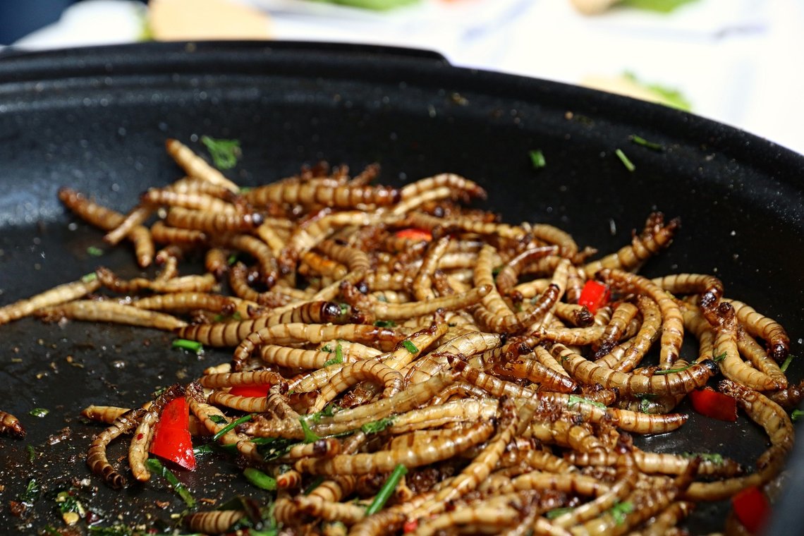 Brød, kjeks og pasta med melorm er blant matvarene som EU nå vil at innbyggerne skal spise i stedet for kjøtt.
Foto: Pixabay Brød, kjeks og pasta med melorm er blant matvarene som EU nå vil at innbyggerne skal spise i stedet for kjøtt.
Foto: Pixabay