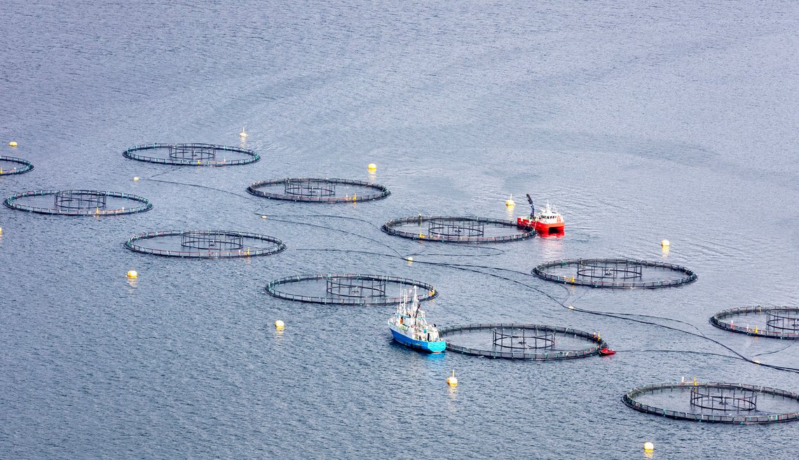 Støre-regjeringen ødelegger økonomien til et helt folk, og nå gidder mange fiskeoppdrettere å investere i nye tillatelser. Illustrasjonsfoto: Gorm Kallestad / NTB Støre-regjeringen ødelegger økonomien til et helt folk, og nå gidder mange fiskeoppdrettere å investere i nye tillatelser. Illustrasjonsfoto: Gorm Kallestad / NTB