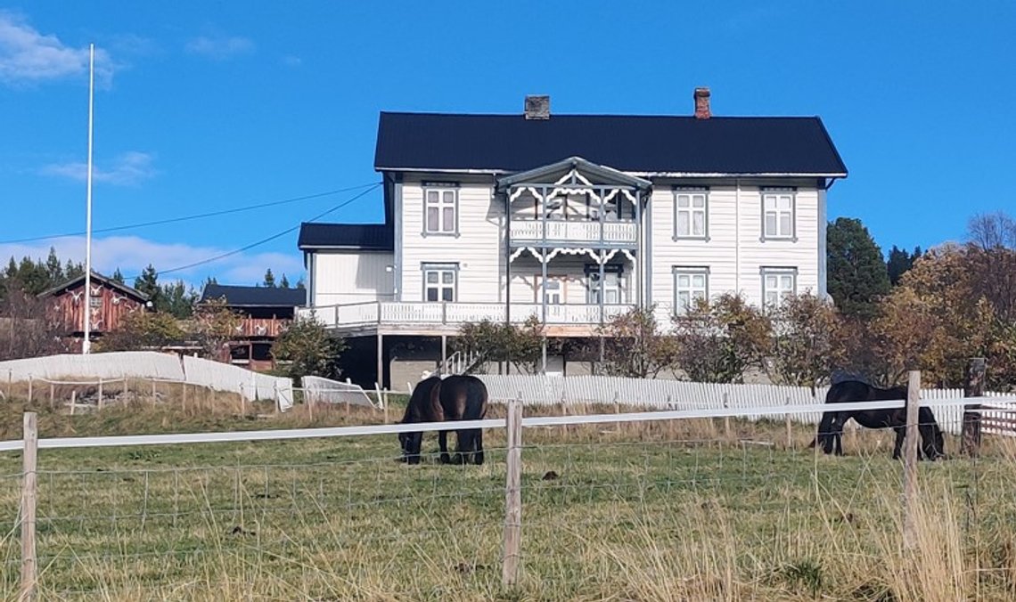 Gamle og vakre gårdsbygninger, som denne i Sollia i Stor-Elvdal kommune, er blant husene som må energieffektiviseres for at EU skal nå sine 'grønne mål' innen 2050. Regningen vil tilfalle huseierne. Foto: Geir Furuseth Gamle og vakre gårdsbygninger, som denne i Sollia i Stor-Elvdal kommune, er blant husene som må energieffektiviseres for at EU skal nå sine 'grønne mål' innen 2050. Regningen vil tilfalle huseierne. Foto: Geir Furuseth