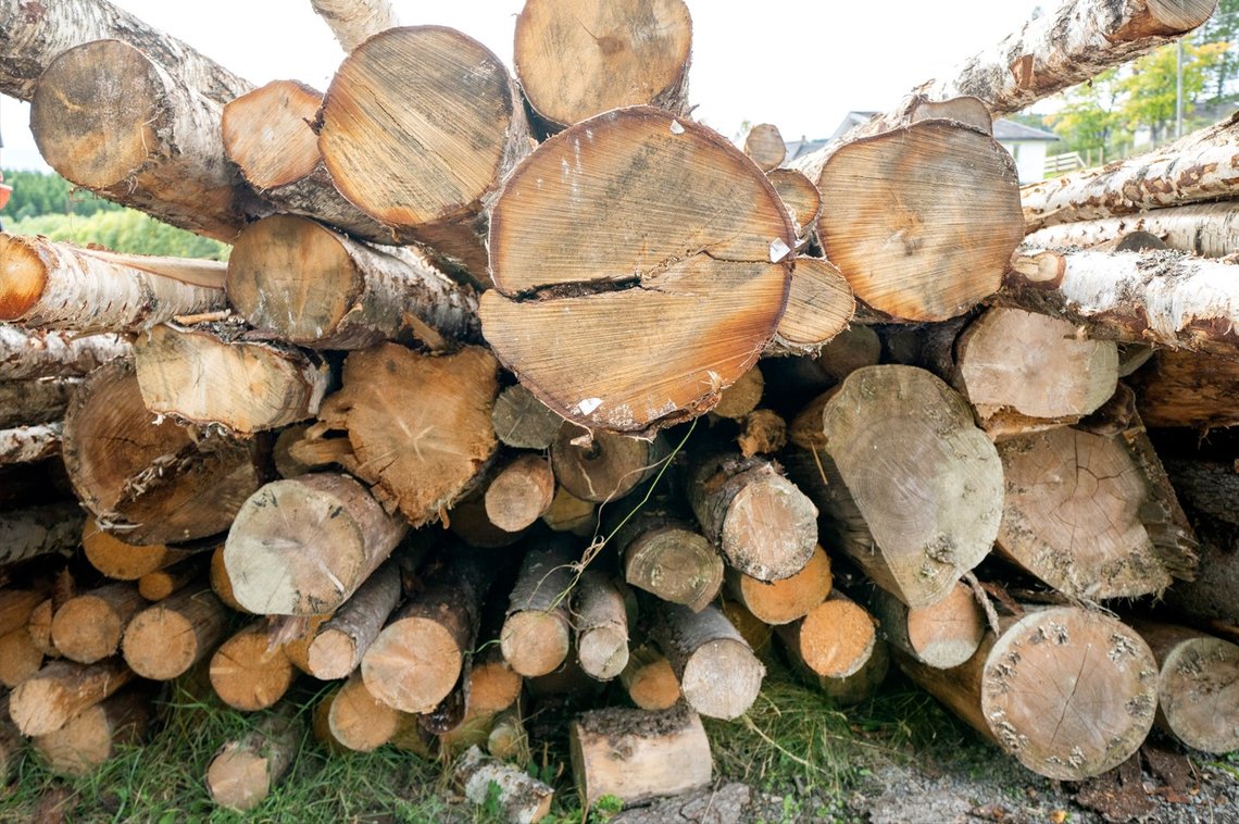 I alt ble det hogd 11,5 millioner kubikkmeter industrivirke for salg i 2022, det største årlige hogstkvantumet som er registrert. Foto: Gorm Kallestad / NTB I alt ble det hogd 11,5 millioner kubikkmeter industrivirke for salg i 2022, det største årlige hogstkvantumet som er registrert. Foto: Gorm Kallestad / NTB