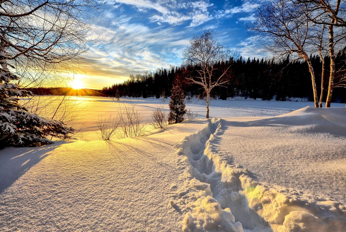 Foto fra Pixabay. Foto fra Pixabay.