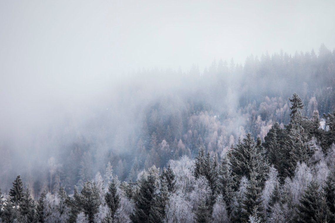 Minnesund 20180109.
Tåke over skogen rundt Mjøsa en iskald vintermorgen.
Foto: Tore Meek / NTB Minnesund 20180109.
Tåke over skogen rundt Mjøsa en iskald vintermorgen.
Foto: Tore Meek / NTB