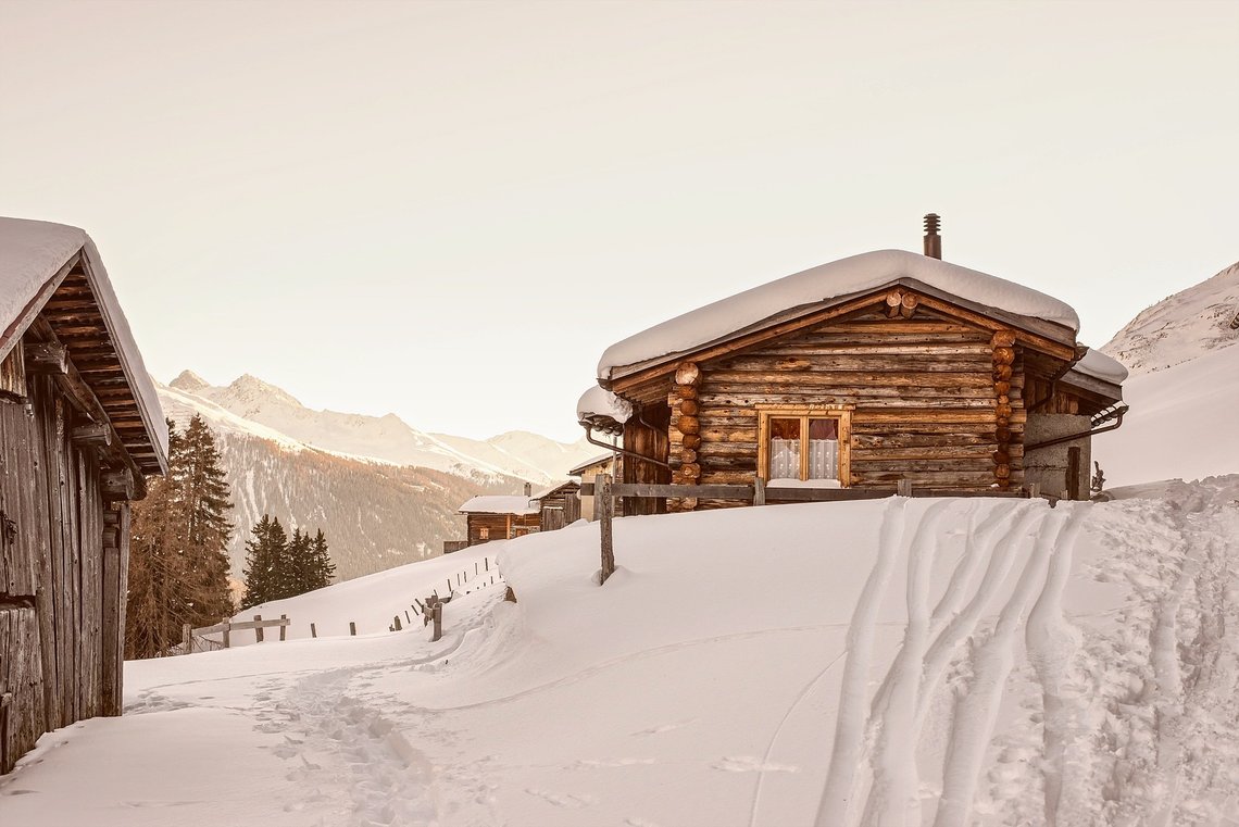 Foto fra Pixabay. Foto fra Pixabay.