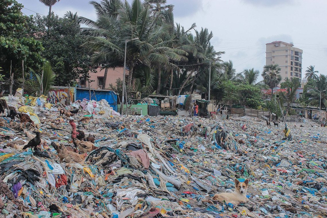 I Mumbai har de plukket opp ni tusen tonn søppel fra strendene. Foto: Shashishekharkashyap, Wikimedia Commons I Mumbai har de plukket opp ni tusen tonn søppel fra strendene. Foto: Shashishekharkashyap, Wikimedia Commons