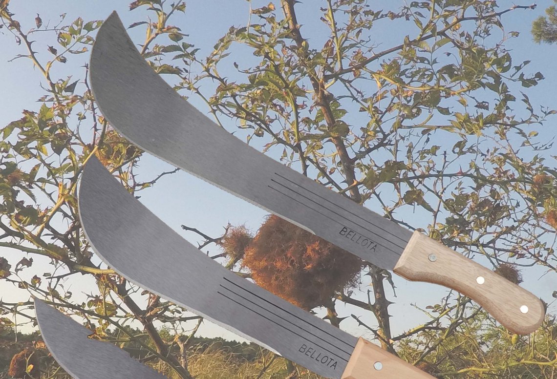 I sortimentet for ljåer og andre praktiske verktøy kan man også finne macheter som disse for en pris til under 500 norske kroner. Illustrasjonsfoto: legrej.dk/ I sortimentet for ljåer og andre praktiske verktøy kan man også finne macheter som disse for en pris til under 500 norske kroner. Illustrasjonsfoto: legrej.dk/