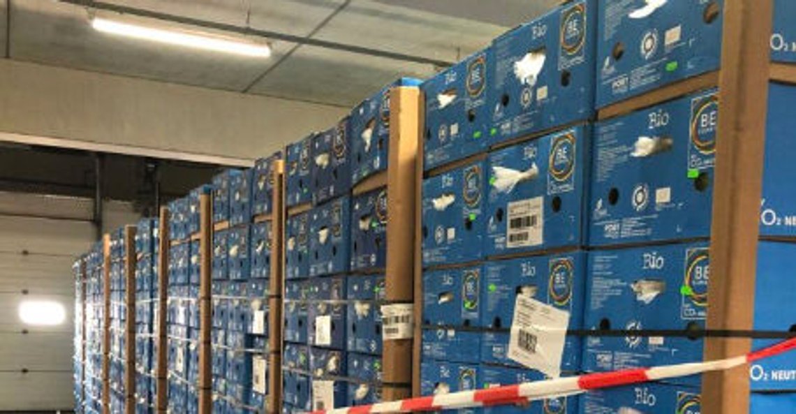 Oslo 20230330.
Tysk politi har beslaglagt mer enn 1200 kg kokain.Etter beslaget tipset de politiet og tollmyndigheter i Oslo som beslagla 800 kg kokain i Oslo.
Foto: Tysk politi / NTB Oslo 20230330.
Tysk politi har beslaglagt mer enn 1200 kg kokain.Etter beslaget tipset de politiet og tollmyndigheter i Oslo som beslagla 800 kg kokain i Oslo.
Foto: Tysk politi / NTB