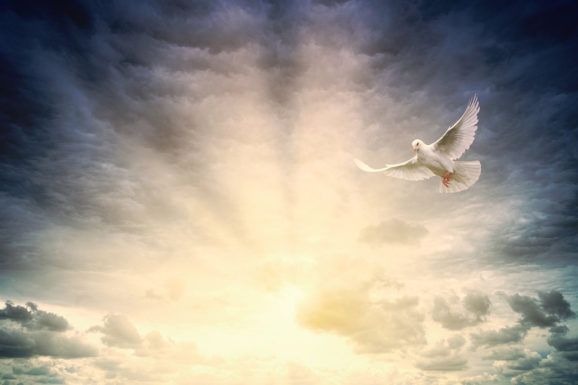 Foto: Pixabay Foto: Pixabay