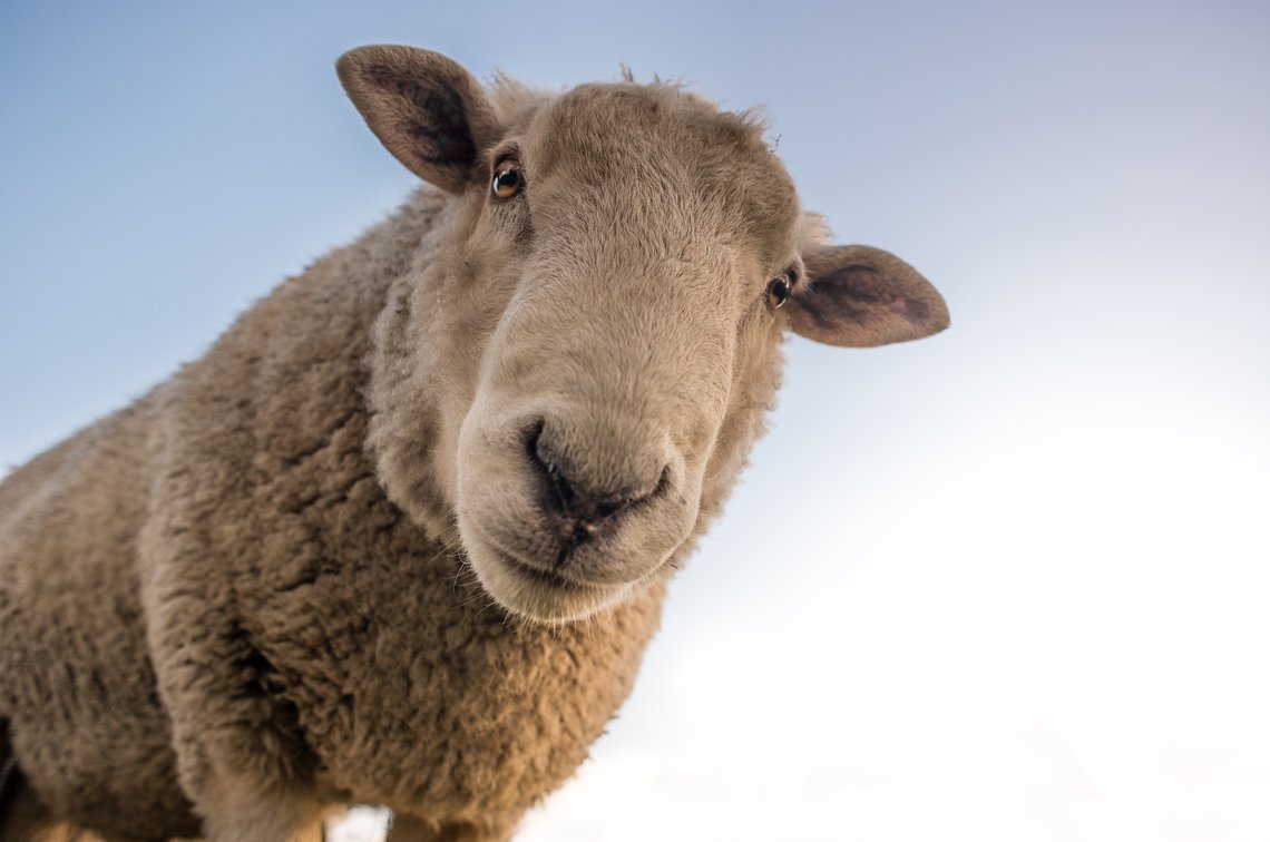 Skaper denne klimakrise? Bilde fra Pixabay. Skaper denne klimakrise? Bilde fra Pixabay.