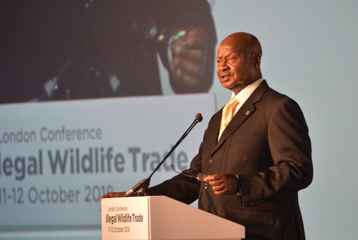 Photo: Wikimedia. His Excellency Yoweri Museveni, The President of Uganda speaking at the Illegal Wildlife Trade Conference: London 2018, 11 October 2018. Photographer: Mark Mackenzie. Photo: Wikimedia. His Excellency Yoweri Museveni, The President of Uganda speaking at the Illegal Wildlife Trade Conference: London 2018, 11 October 2018. Photographer: Mark Mackenzie.