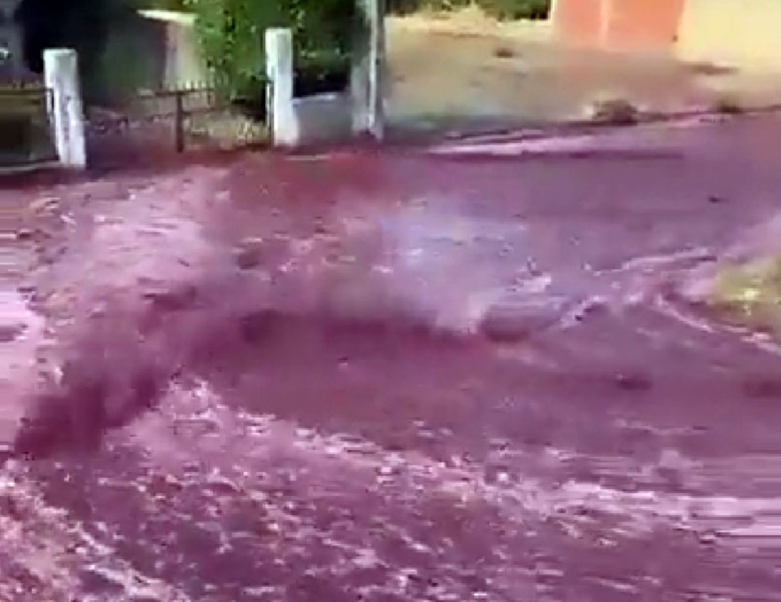 Drikkeklar rødvin. Videoklipp fra Twitter Drikkeklar rødvin. Videoklipp fra Twitter