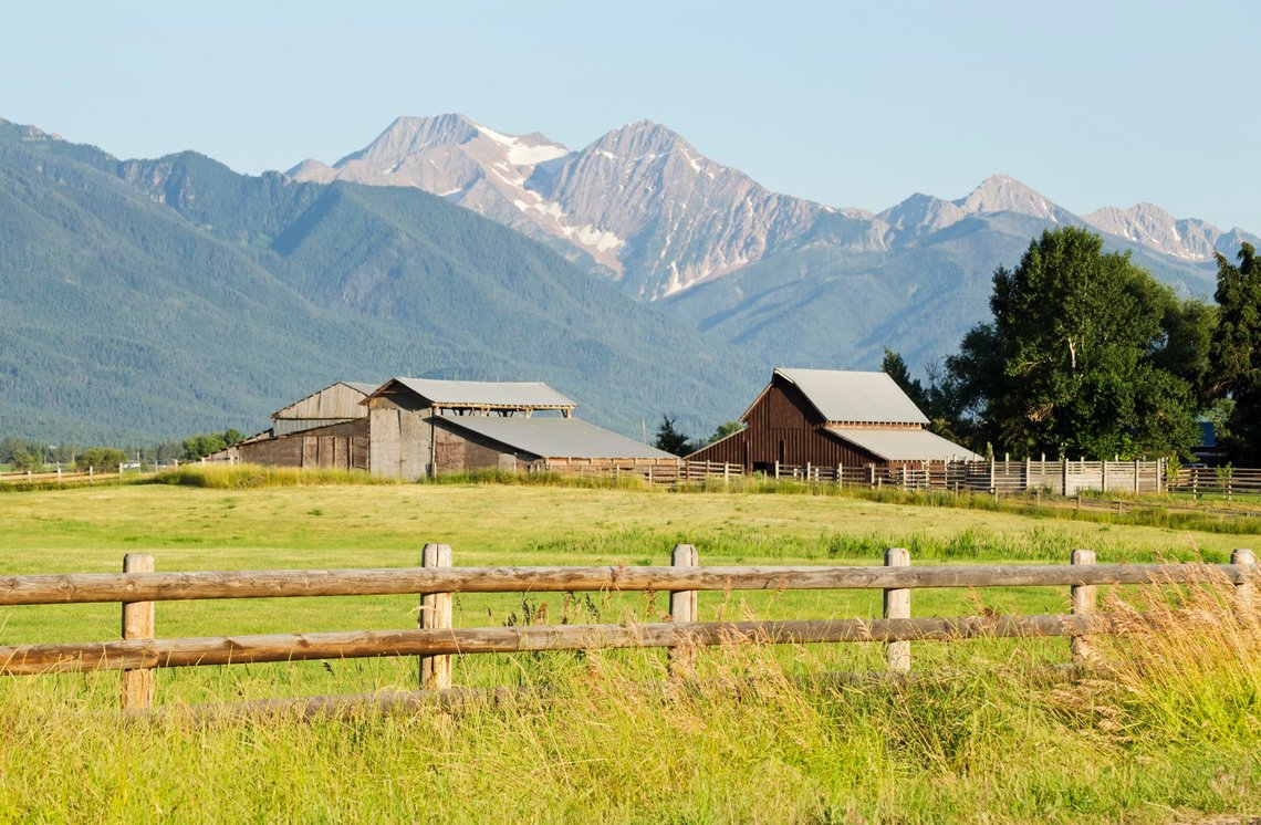 De aller fleste bøndene i USA er hvite. Dette er utålelig for Biden og hans allierte, som drømmer om equity. Foto: Pixabay De aller fleste bøndene i USA er hvite. Dette er utålelig for Biden og hans allierte, som drømmer om equity. Foto: Pixabay