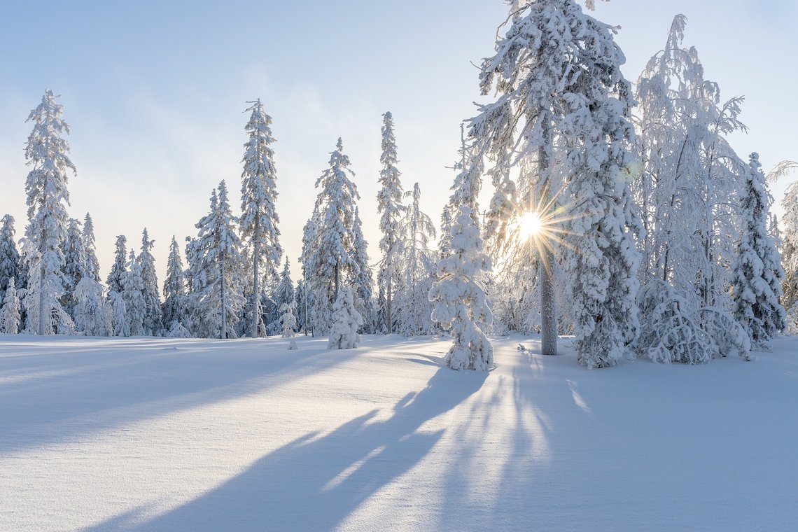 Snø og kulde om vinteren vil ikke bli den nye normalen, mener klimaforskere. Illustrasjonsbilde: Pixabay Snø og kulde om vinteren vil ikke bli den nye normalen, mener klimaforskere. Illustrasjonsbilde: Pixabay