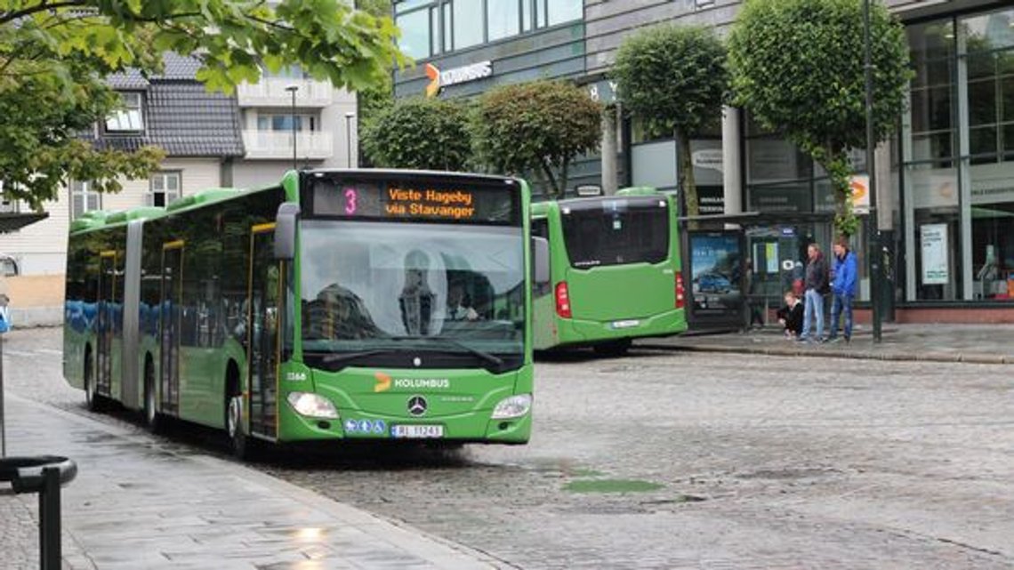 Leddbusser fungerer noenlunde greit hvis været er perfekt. Foto: Wikipedia Leddbusser fungerer noenlunde greit hvis været er perfekt. Foto: Wikipedia