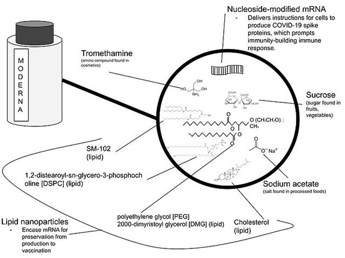 Moderna forventer å lansere en mRNA-vaksine mot hudkreft i 2025.
Foto: Wikimedia Commons Moderna forventer å lansere en mRNA-vaksine mot hudkreft i 2025.
Foto: Wikimedia Commons