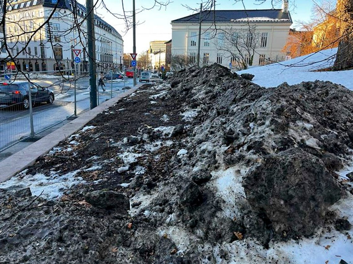 Slottsgartneren har sendt klage til Oslo kommune etter at det flere steder langs Henrik Ibsensgate er det frest opp store snøhauger inn i slottsparken. Slottet hevder dette har ført til ødeleggelser.
Foto: Slottsgartneriet / handout / NTB Slottsgartneren har sendt klage til Oslo kommune etter at det flere steder langs Henrik Ibsensgate er det frest opp store snøhauger inn i slottsparken. Slottet hevder dette har ført til ødeleggelser.
Foto: Slottsgartneriet / handout / NTB