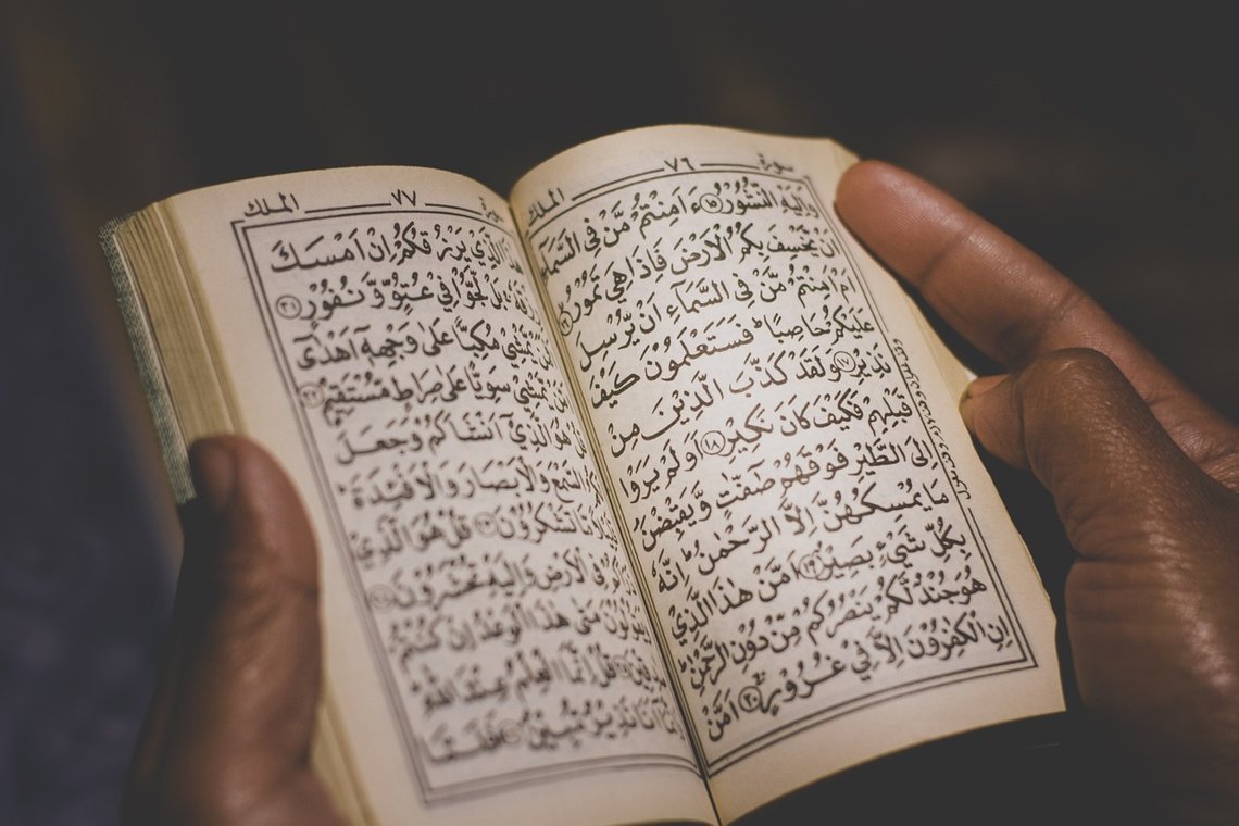 Bilde fra Pixabay. Bilde fra Pixabay.