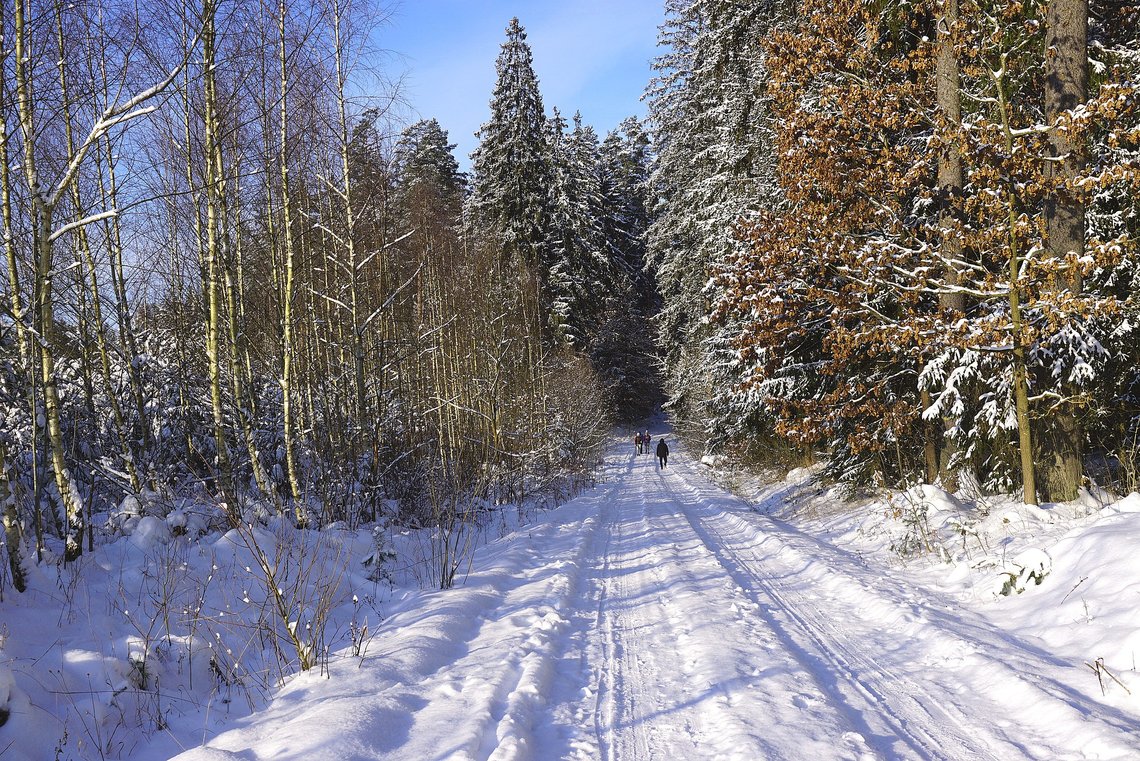 Illustrasjonsbilde: Pixabay Illustrasjonsbilde: Pixabay