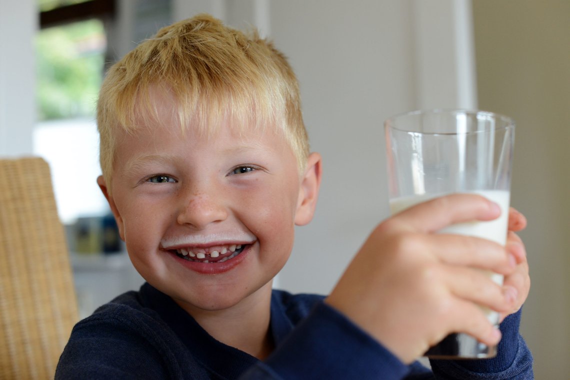 Liten gutt drikker melk. Glass melk. Melkeglass. Tørst. Blond. Slukke tørsten. Sunn. Smiler. Fornøyd. Glad. Melkebart.
A boy with a glas of milk.
Foto: Frank May / NTB
NB! MODELLKLARERT Liten gutt drikker melk. Glass melk. Melkeglass. Tørst. Blond. Slukke tørsten. Sunn. Smiler. Fornøyd. Glad. Melkebart.
A boy with a glas of milk.
Foto: Frank May / NTB
NB! MODELLKLARERT