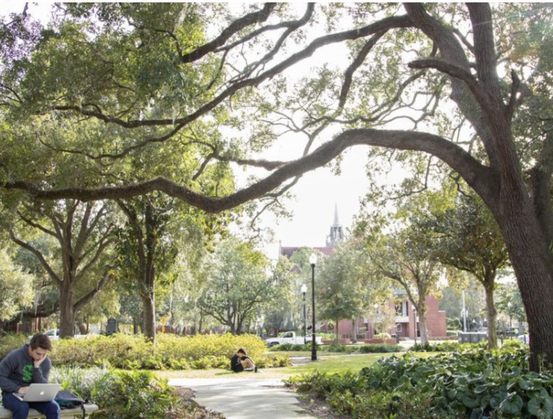 University of Florida avskaffer woke-tullet DEI (diversity, equity, inclusion). Foto: UoF University of Florida avskaffer woke-tullet DEI (diversity, equity, inclusion). Foto: UoF