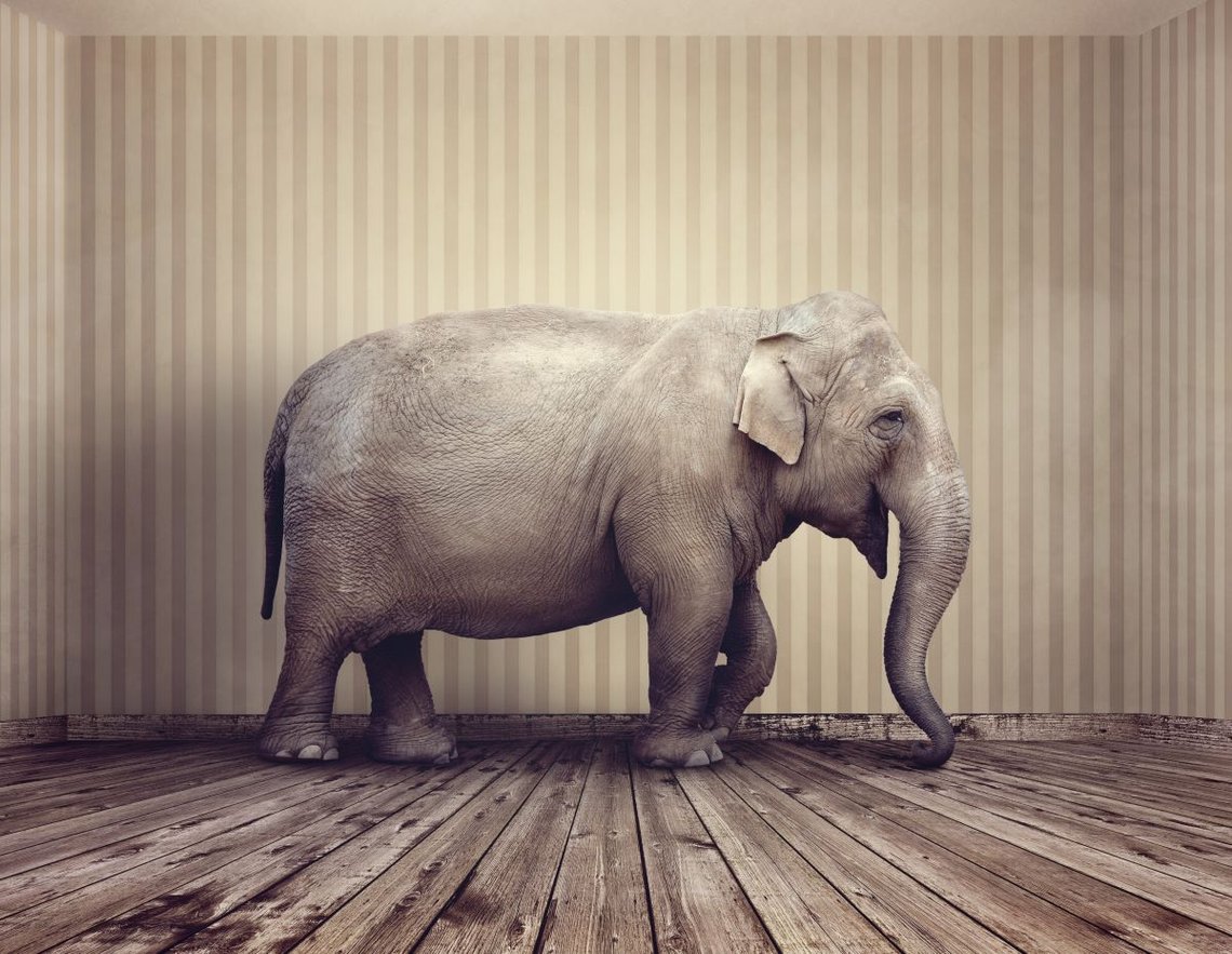 Elefanten i rommet er en metafor for et åpenbart problem eller en risiko som ingen ønsker å diskutere. Foto: Shutterstock av Brian A Jackson. Elefanten i rommet er en metafor for et åpenbart problem eller en risiko som ingen ønsker å diskutere. Foto: Shutterstock av Brian A Jackson.