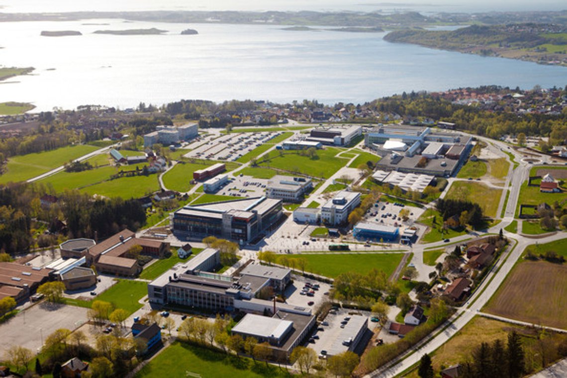 Universitetet i Stavanger. Her opprettes teltleir for å kreve at UiS stanser alt samarbeid med Israel. I bakgrunnen ser vi Hafrsfjord, hvor Norge ble samlet til ett rike. Foto: Vandergiezen /CC BY-SA 4.0 / Wikimedia Universitetet i Stavanger. Her opprettes teltleir for å kreve at UiS stanser alt samarbeid med Israel. I bakgrunnen ser vi Hafrsfjord, hvor Norge ble samlet til ett rike. Foto: Vandergiezen /CC BY-SA 4.0 / Wikimedia