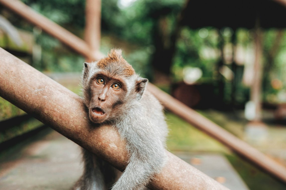 Illustrasjonsbilde. Foto: Jared Rice/Unsplash Illustrasjonsbilde. Foto: Jared Rice/Unsplash