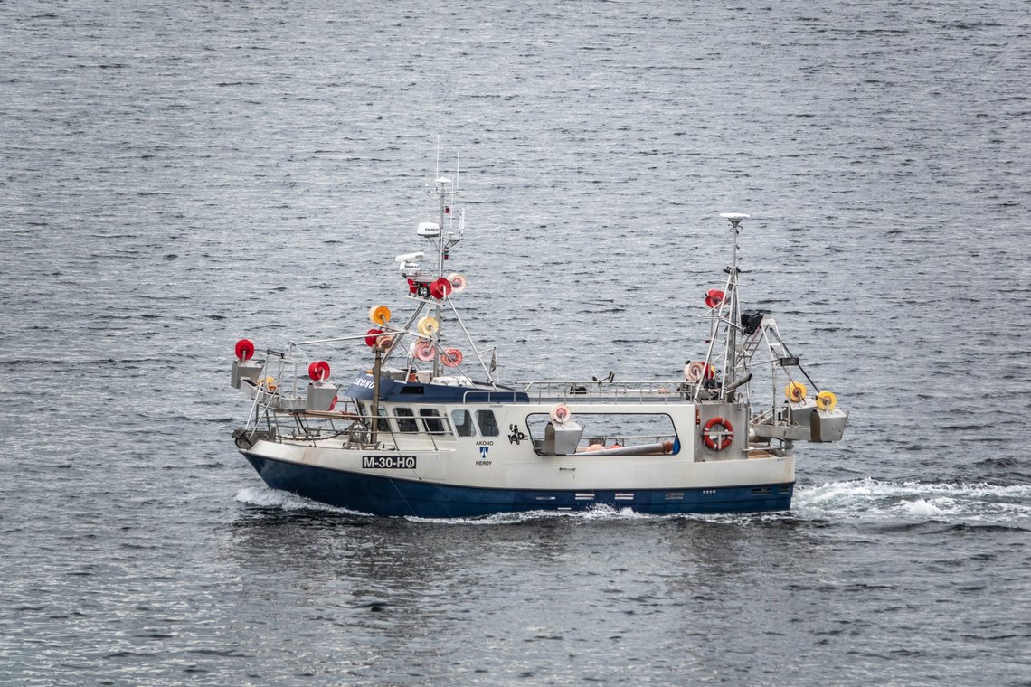 Liten fiskebåt på vei inn Hessafjorden til Ålesund
Foto: Halvard Alvik / NTB Liten fiskebåt på vei inn Hessafjorden til Ålesund
Foto: Halvard Alvik / NTB