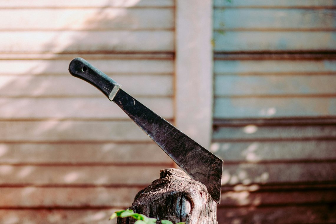 Illustrasjonsbilde. Foto: Pexels Illustrasjonsbilde. Foto: Pexels