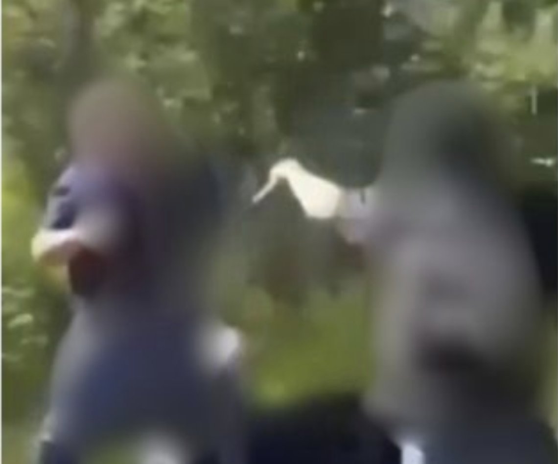 Fem ungdommer angrep en mann i 50-årene i Luster. Han anklages for å være pedofil. Stillbilde/ Snapchat Fem ungdommer angrep en mann i 50-årene i Luster. Han anklages for å være pedofil. Stillbilde/ Snapchat