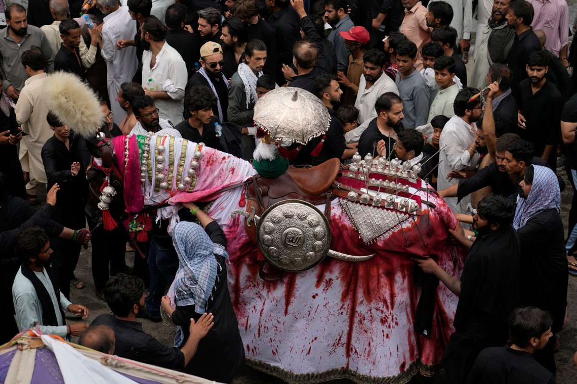 Shiite Muslims touch a horse, that symbolizes the horse that carried Imam Hussein during the battle of Karbala, during a procession to mark Ashoura, in Rawalpindi, Pakistan, Wednesday, July 17, 2024. Ashoura falls on the 10th day of Muharram, the first month of the Islamic calendar, when Shiites mark the death of Hussein, the grandson of the Prophet Muhammad, at the Battle of Karbala in present-day Iraq in the 7th century. (AP Photo/Anjum Naveed) Shiite Muslims touch a horse, that symbolizes the horse that carried Imam Hussein during the battle of Karbala, during a procession to mark Ashoura, in Rawalpindi, Pakistan, Wednesday, July 17, 2024. Ashoura falls on the 10th day of Muharram, the first month of the Islamic calendar, when Shiites mark the death of Hussein, the grandson of the Prophet Muhammad, at the Battle of Karbala in present-day Iraq in the 7th century. (AP Photo/Anjum Naveed)