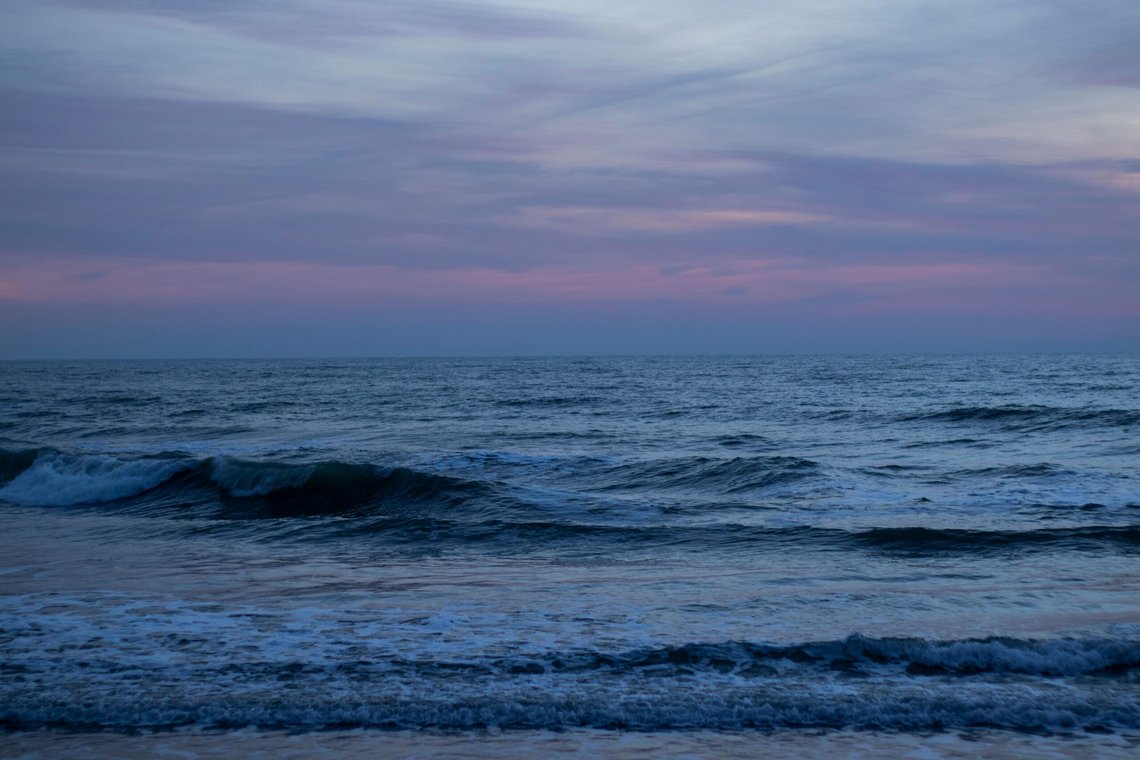 Foto: Pexels Foto: Pexels