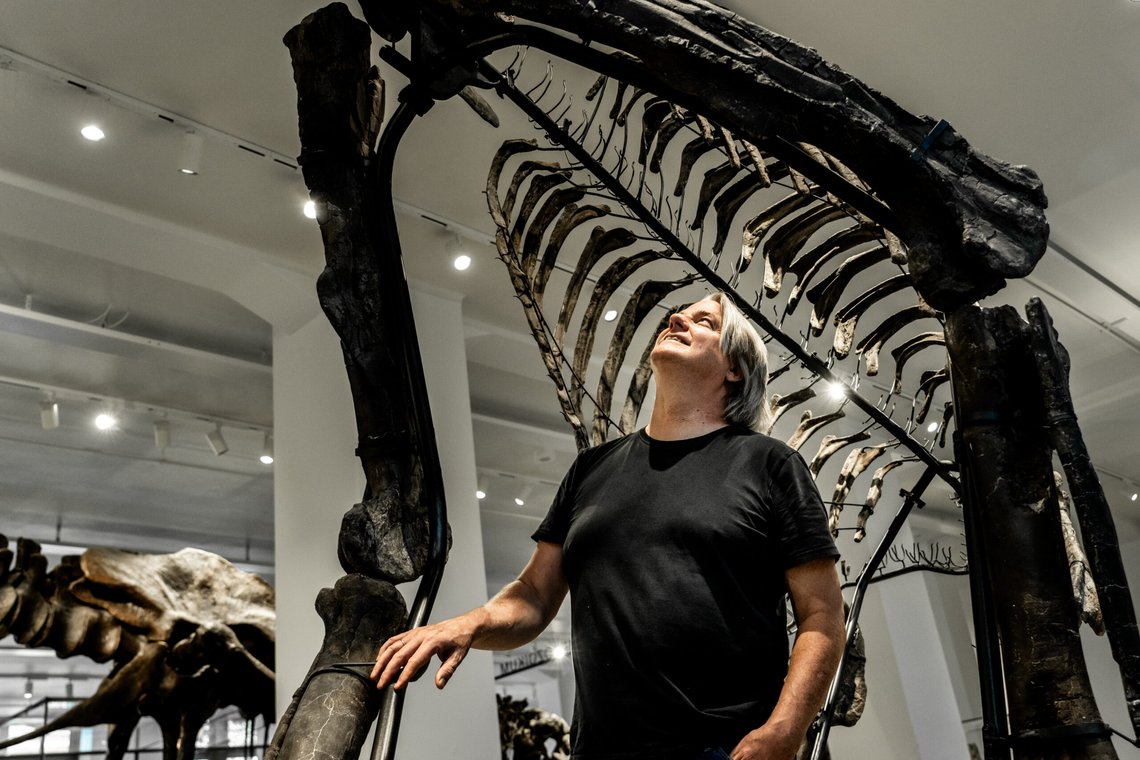 Professor Jørn Hurum under montering av Norges to første ekte dinosaurskjeletter på Naturhistorisk museum i Oslo denne uka. Foto: Thomas Fure / NTB Professor Jørn Hurum under montering av Norges to første ekte dinosaurskjeletter på Naturhistorisk museum i Oslo denne uka. Foto: Thomas Fure / NTB