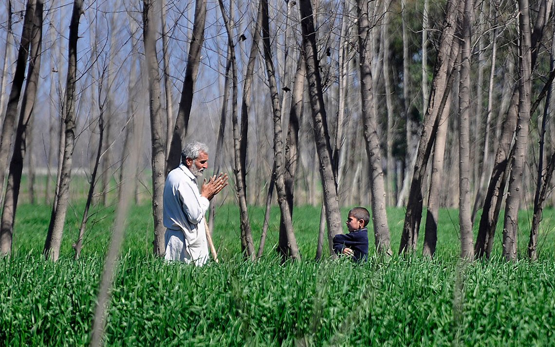 Illustrasjonsfoto: USAID Pakistan, Wikimedia Commons Illustrasjonsfoto: USAID Pakistan, Wikimedia Commons