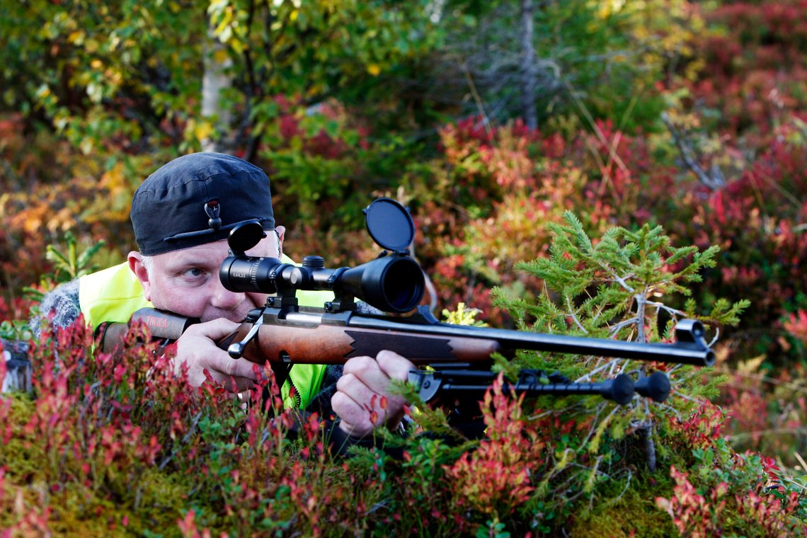 Elgjakt på elgvald i Malm i Nord Trøndelag. Foto: Gorm Kallestad / NTB Elgjakt på elgvald i Malm i Nord Trøndelag. Foto: Gorm Kallestad / NTB