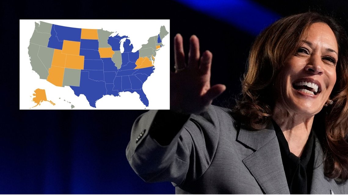 BEST UTEN ID: Visepresident Kamala Harris viser seg å være best i delstater hvor det ikke er krav om å vise identifikasjon. Donald Trump har foreslått en nasjonal fridag på valgdagen, ID-krav og at alle stemmer ved oppmøte (med mindre det er spesielle grunner). Foto: NTB BEST UTEN ID: Visepresident Kamala Harris viser seg å være best i delstater hvor det ikke er krav om å vise identifikasjon. Donald Trump har foreslått en nasjonal fridag på valgdagen, ID-krav og at alle stemmer ved oppmøte (med mindre det er spesielle grunner). Foto: NTB