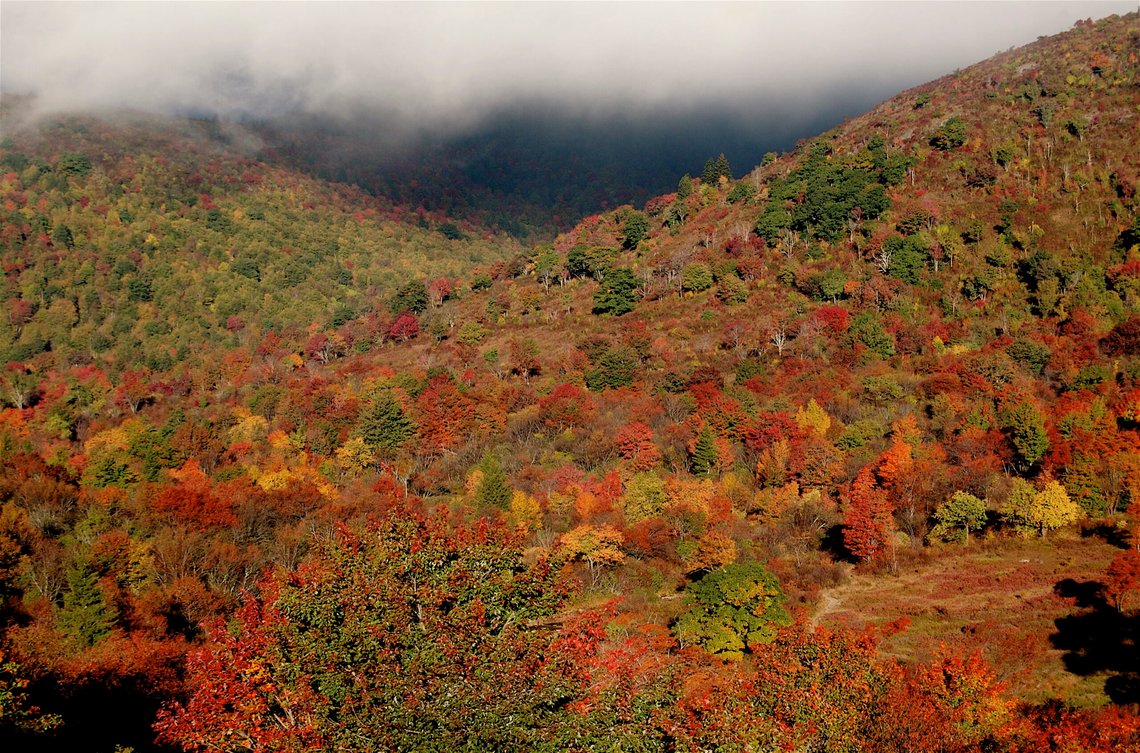 Graveyard Fields i North Carolina. Foto: Tsimmons/ CC BY 3.0/ Wikimedia Graveyard Fields i North Carolina. Foto: Tsimmons/ CC BY 3.0/ Wikimedia