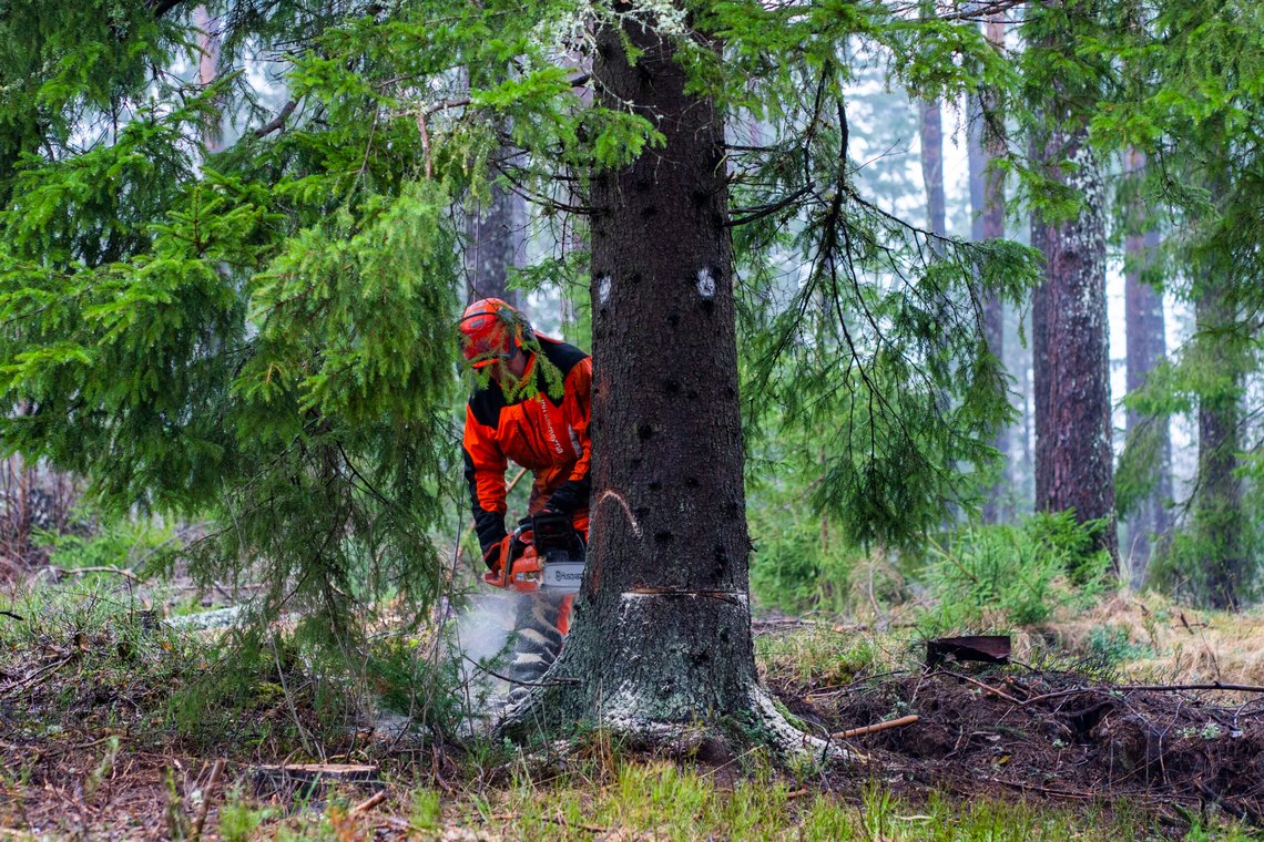 Illustrasjonsbilde.
Foto: Håkon Mosvold Larsen / NTB Illustrasjonsbilde.
Foto: Håkon Mosvold Larsen / NTB