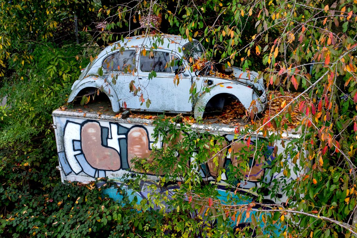 A wrecked old Volkswagen Beatle is pictured under tree in Bad Vilbel near Frankfurt, Germany, Wednesday, Oct. 30, 2024. (AP Photo/Michael Probst) A wrecked old Volkswagen Beatle is pictured under tree in Bad Vilbel near Frankfurt, Germany, Wednesday, Oct. 30, 2024. (AP Photo/Michael Probst)