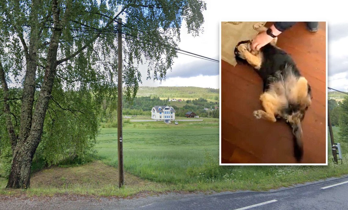 I avsidesliggende, landlige omgivelser, ligger den eldre kvinnens hus i den sørlige delen av Innlandet fylke. Hunden hennes (innfelt) liker kos og klapp. Huset på bildet er tilfeldig valgt. (Foto: Google/videostillbilde fra avisen Glåmdalen) I avsidesliggende, landlige omgivelser, ligger den eldre kvinnens hus i den sørlige delen av Innlandet fylke. Hunden hennes (innfelt) liker kos og klapp. Huset på bildet er tilfeldig valgt. (Foto: Google/videostillbilde fra avisen Glåmdalen)