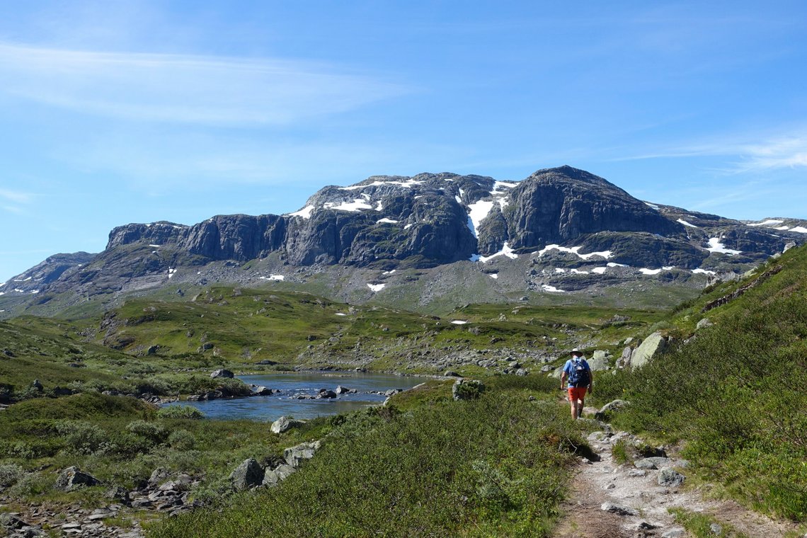 Haukeliseter 20180713.
Turgåer i fjellet. Norsk natur.
Foto: Marianne Løvland / NTB Haukeliseter 20180713.
Turgåer i fjellet. Norsk natur.
Foto: Marianne Løvland / NTB