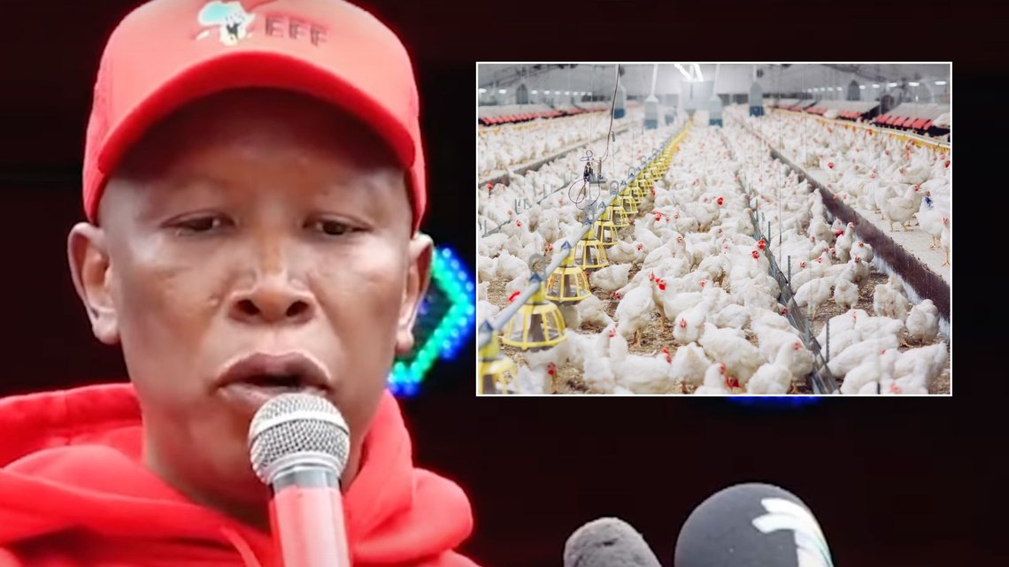 DREP BOERNE: Kommunisten Julius Malema liker å fremføre sangen «Kill the Boer» og sier det vil ikke bli fred i Sør-Afrika før hvite bønder har mistet gårdene. Foto: YouTube DREP BOERNE: Kommunisten Julius Malema liker å fremføre sangen «Kill the Boer» og sier det vil ikke bli fred i Sør-Afrika før hvite bønder har mistet gårdene. Foto: YouTube